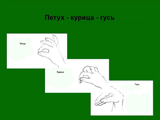 1586530152_5.jpg
