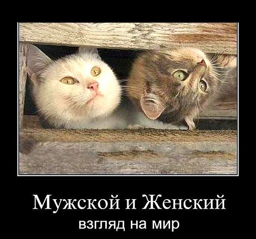 1589934383_demotivator-070.jpg