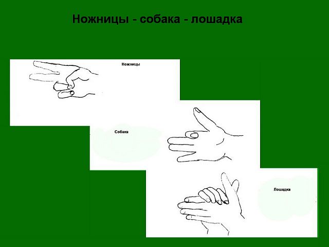 1586530172_6.jpg