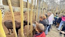 Ребята, посещающие кружки в Семейном МФЦ, побывали в питомнике ездовых собак «Снежные псы»
